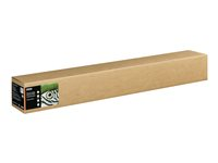 Epson Fine Art Textured - Bomull - matt - 515 mikron - ljus - Rulle (111,8 cm x 15 m) - 300 g/m² - 1 rulle (rullar) lumppapper - för SureColor SC-P20000, SC-P20000SE, SC-P8000, SC-P9000, SC-P9000V C13S450286