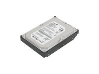 Lenovo - Kiintolevyasema - 1 Tt - sisäinen - 3.5" - SATA 3Gb/s - 7200 kierrosta/min - puskuri: 32 Mt 45J7918