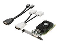 NVIDIA - Grafikkort - NVS 315 - 1 GB DDR3 - PCIe 2.0 x16 låg profil - DMS-59 - för ThinkCentre M73; ThinkStation E32; P300; P320; P410; P500; P510; P700; P710; P900; P910 4X60F17422