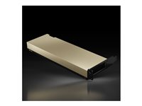 NVIDIA - GPU-beräkningsprocessor - L4 - 24 GB GDDR6 - PCIe 4.0 x16 låg profil - fläktlös 900-2G193-0000-001
