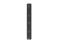 APC Basic Rack PDU - Kraftdistributionsenhet (kan monteras i rack) - AC 100-240 V - ingång: IEC 60320 C20 - utgångskontakter: 14 (power IEC 60320 C13) - svart - för P/N: AR4017A, AR4032A, AR4038LA, NBPD0150, SRT5KRMXLT-A, SRT6KRMXLT-A, SRT8KRMXLT-A AP6003A