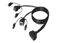 Belkin OmniView Dual Port Cable, PS/2 - Tangentbords-/video-/muskabel - PS/2, HD-15 (VGA) (hane) till DB-25 (hane) - 3 m - formpressad - för Belkin Titan LCD Rack Console with PRO3, Widescreen Rack-Mount Console with PRO3 F1D9400-10
