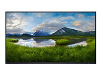 Dell P2425HE - ilman telinettä - LED-näyttö - Full HD (1080p) - 24" DELL-P2425HEWO