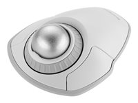Kensington Orbit - Styrkula - trådlös - trådlös USB-mottagare - vit K70993WW