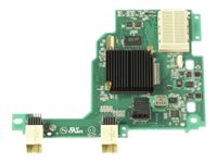 Emulex 10GbE Virtual Fabric Adapter Advanced II for IBM BladeCenter HS23 - Nätverksadapter - PCIe 2.0 x8 låg profil - 10GbE - 2 portar - för BladeCenter HS23 7875 90Y9332