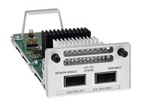 Cisco Catalyst 9300 Series Network Module - Expansionsmodul - 40Gb Ethernet / 100Gb Ethernet QSFP x 2 - för P/N: C9300X-12Y-A, C9300X-12Y-E, C9300X-12Y-EDU, C9300X-24HX-1A, C9300X-24Y-A C9300X-NM-2C