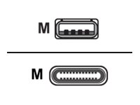 Huddly - USB-kabel - USB typ A (hane) till USB-C (hane) - USB 3.1 Gen 1 - 5 V - 2 A - 60 cm - svart - för IQ 7090043790290