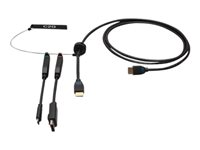 C2G 6ft (1.8m) 4K HDMI Premium Cable and Dongle Adapter Ring with Color Coded DisplayPort and USB-C - Videosovitinpakkaus - musta - tuki 4K / 60 Hz, 4K 30 Hz:n tuki (DisplayPort), kullatut liittimet C2G30053