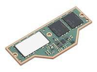 Lenovo - LPDDR5X SDRAM - modul - 32 GB - LPCAMM2 - 8533 MT/s - grön - för ThinkPad P1 Gen 8 21Q8, 21Q9; T16 Gen 4 21QN; T1g Gen 8 21TE 4X71U38631
