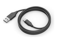 Jabra PanaCast - USB-kabel - USB-C (hane) till USB typ A (hane) - 2 m - för PanaCast 50 14202-32
