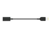 Lenovo USB-C to Slim-tip Cable Adapter - Adapter för effektkontakt - USB-C hona till ström hane - för ThinkPad T16 Gen 4 21QN 4X90U45346