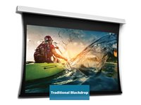 Da-Lite Tensioned DescenderPro - Projektorduk - takmontering - motoriserad - 149" (379 cm) - 16:9 - HD Progressive 1.3 - RAL 9016 10106657