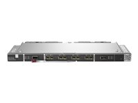 Brocade - Laajennusmoduuli - 32Gb Fibre Channel SFP+ x 28 malleihin Synergy 12000 Frame Q2E56A