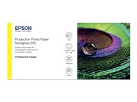 Epson Production - Polyetyleeni (PE) - puolikiiltävä - microporous - 200 mikronia - Rulla (111,8 cm x 30 m) - 200 g/m² - 1 rulla (rullat) valokuvapaperi malleihin Stylus Pro 9890; SureColor P10000, P20000, SC-P10000, P20000, P8000, P9000, P9500, T7200 C13S450378