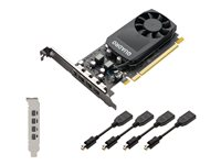 NVIDIA Quadro - Grafikkort - Quadro P1000 - 4 GB GDDR5 - PCIe 3.0 x16 låg profil - 4 x Mini DisplayPort - Adaptrar ingår VCQP1000V2-PB