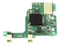 Emulex 10GbE Virtual Fabric Adapter II for IBM BladeCenter HS23 - Nätverksadapter - PCIe 2.0 x8 - 10GbE, FCoE - 2 portar - för BladeCenter HS23 7875 81Y3120