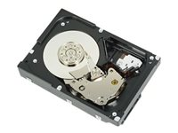 Dell - Kundsats - hårddisk - 12 TB - 512e, ISE - inbyggd - 3.5" - SAS 12Gb/s - 7200 rpm 161-BBFN