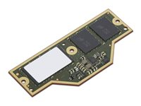 Lenovo - LPDDR5X SDRAM - modul - 32 GB - CAMM - 7500 MT/s - grön - för ThinkPad P1 Gen 7 21KV, 21KW; T16 Gen 4 21QN 4X71Q25456