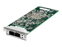 Emulex Dual Port 10GbE SFP+ Embedded Adapter for IBM System x - Nätverksadapter - Advanced Mezzanine Card (AMC) - 10GbE - 2 portar - för System x iDataPlex dx360 M4; System x3550 M4; x3650 M4 90Y6456