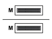 Dell Networking - 40GBase direktkopplingskabel - QSFP+ (hane) till QSFP+ (hane) - 1 m - dubbelaxlad - passiv - för PowerEdge C4140; PowerSwitch S4112, S5212; Networking S5224; PowerSwitch S5212, S5224 470-AAVR