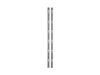 APC NetShelter SX - Rackpanel för kabelhantering - svart - 42U - för P/N: NBPD0150, SMX2KR2UX145, SMX3KR2UNCX145, SRT5KRMXLT-A, SRT6KRMXLT-A, SRT8KRMXLT-A AR7511