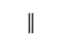 APC - Rackpanel för kabelhantering - svart - 42U - TAA-kompatibel (paket om 2) - för P/N: NBPD0150, SMX2KR2UNCX145, SMX2KR2UX145, SMX3000RMX93, SMX3KR2UNCX145, SRT1000RMXLI-NC AR7721