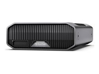 SanDisk Professional G-DRIVE PROJECT - Kiintolevyasema - Enterprise - 22 Tt - ulkoinen (pöytämalli) - USB 3.2 Gen 2 / Thunderbolt 3 (USB-C liitin) - 7200 kierrosta/min - harmaa SDPHG1H-022T-MBAAD