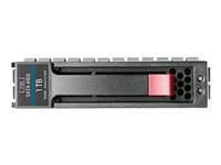 HP - Hårddisk - 1 TB - 3.5" - SATA 3Gb/s - 7200 rpm - Top Value 454146-TV1