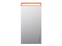 Lenovo PS6S - SSD - 1 TB - extern (portabel) - USB 3.1 Gen 2 (USB-C kontakt) - isgrå - för ThinkPad T16 Gen 4 21QN 4XB1T88410
