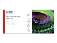 Epson Production - Polyetyleeni (PE) - kiiltävä - microporous - 200 mikronia - Rulla (111,8 cm x 30 m) - 200 g/m² - 1 rulla (rullat) valokuvapaperi malleihin Stylus Pro 9890; SureColor P10000, P20000, SC-P10000, P20000, P8000, P9000, P9500, T7200 C13S450373