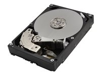 Toshiba Enterprise Capacity MG06ACAxxxx Series MG06ACA10TE - Kiintolevyasema - 10 Tt - sisäinen - 3.5" - SATA 6Gb/s - 7200 kierrosta/min - puskuri: 256 Mt MG06ACA10TE