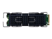 HP Z Turbo Drive - SSD - 1 TB - inbyggd - PCIe 4.0 x4 - för Workstation Z2 G8, Z2 G9 (SFF, tower) 201F5AA