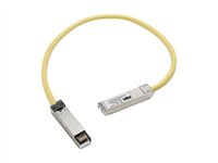 Cisco - Kytkentäkaapeli - SFP (uros) to SFP (uros) - 50 cm malleihin Catalyst 3560, 3560E, 3560G, 3560V2, 3560X CAB-SFP-50CM=