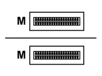 Cisco - 100GBase direktkopplingskabel - QSFP28 (hane) till QSFP28 (hane) - 15 m - fiberoptisk - aktiv - återanvänd - för P/N: C9500-32C-EDU, C9500-32QC-EDU, N9K-X9788TC-FX-RF, NCS-55A1-24H-B, NCS-55A1-36H-SE-S QSFP-100GAOC15M-RF