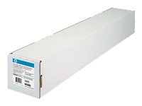 HP Everyday - Polypropylen (PP) - matt - självhäftande - 8,5 mil - Rulle (152,4 cm x 22,9 m) - 168 g/m² - 1 rulle (rullar) film (paket om 2) - för DesignJet 5000, 5000ps, 5000uv, 5500, 5500ps, Z6100, Z6100ps, Z6200, Z6600, Z6800 C0F22A