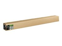 Epson Fine Art Textured Bright - Bomull - matt - 515 mikron - Rulle (162,6 cm x 15 m) - 300 g/m² - 1 rulle (rullar) lumppapper - för SureColor SC-P20000, SC-P20000SE C13S450287