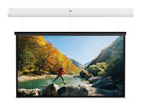 Da-Lite DescenderPro - Projektorduk - takmontering - motoriserad - 230 V - 122.05" (310 cm) - 16:9 - Matte White - RAL 9016 10141747