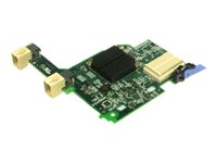Emulex 10 GbE Virtual Fabric Adapter Advanced II for Lenovo BladeCenter - Nätverksadapter - PCIe 2.0 x8 låg profil - 10GbE, FCoE - 2 portar - för BladeCenter H 8852, HT 8740, HT 8750; BladeCenter HS22 7870; HS22V 7871; HX5 7873 90Y3566
