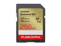 SanDisk Extreme Go - Flash-minneskort - 256 GB - Video Class V30 / UHS-I U3 - SDXC UHS-I SDSDXGN-256G-GNCIN