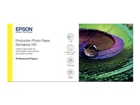 Epson Production - Polyetyleeni (PE) - puolikiiltävä - microporous - 200 mikronia - Roll (60.96 cm x 30 m) - 200 g/m² - 1 rulla (rullat) valokuvapaperi malleihin SureColor P10000, P20000, SC-P10000, P20000, P6000, P7000, P7500, P8000, P9000, T7200 C13S450376