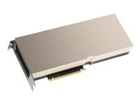 NVIDIA - GPU-beräkningsprocessor - NVIDIA H100 Tensor Core - 80 GB HBM3 - PCI Express 5.0 - fläktlös - för ProLiant DL380 Gen10 Plus, DL380A, DL385 Gen11 R9S41C