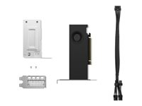 NVIDIA RTX - Grafikkort - NVIDIA RTX 2000 Ada - 16 GB GDDR6 - PCIe 4.0 x8 låg profil - 4 x DisplayPort - för ThinkPad T16 Gen 4 21QN 4X61P69962