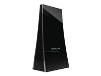 NETGEAR WNCE3001 - Brygga Dubbelband WNCE3001-100PES