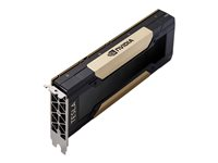 NVIDIA Tesla - GPU-beräkningsprocessor - Tesla V100S HBM2 - PCIe 3.0 x16 - fläktlös TCSV100SM-32GB-PB